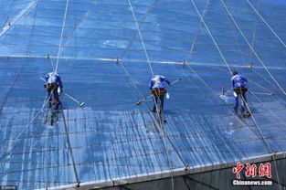 反轉刷爆朋友圈的三亞工人遭割繩真相 原來是高空爆破作業